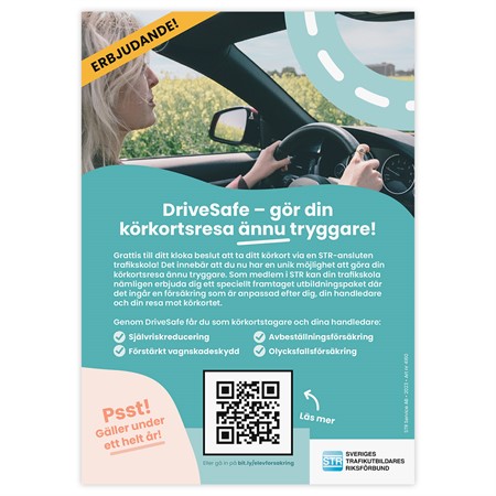 Drive Safe Flyer (100st)