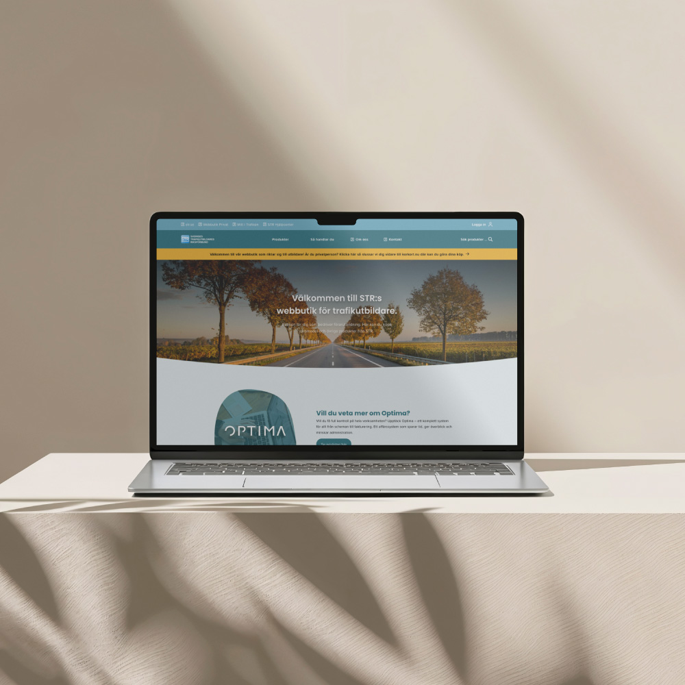 Annons:NY ehandel.jpg